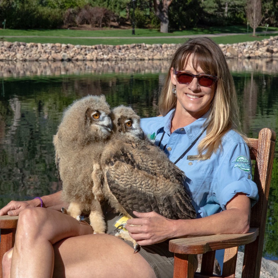 Broadmoor Falconer with Eagle Owls