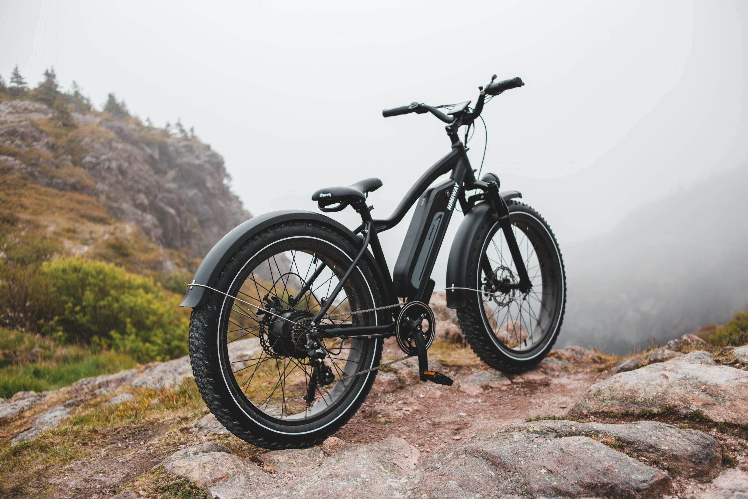 What do shop electric bikes do