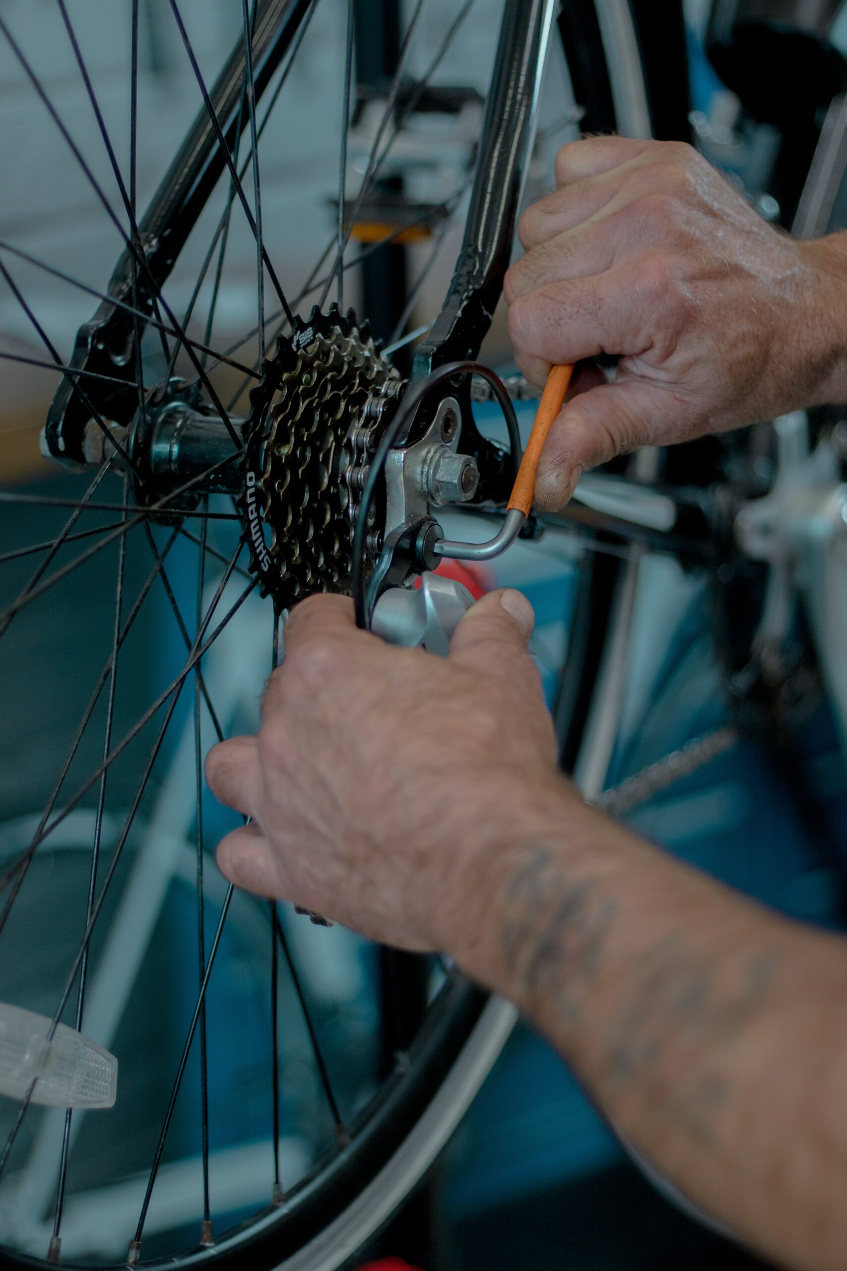 Bike Maintenance Basics How to Clean Your Bike Broadmoor Outfitters