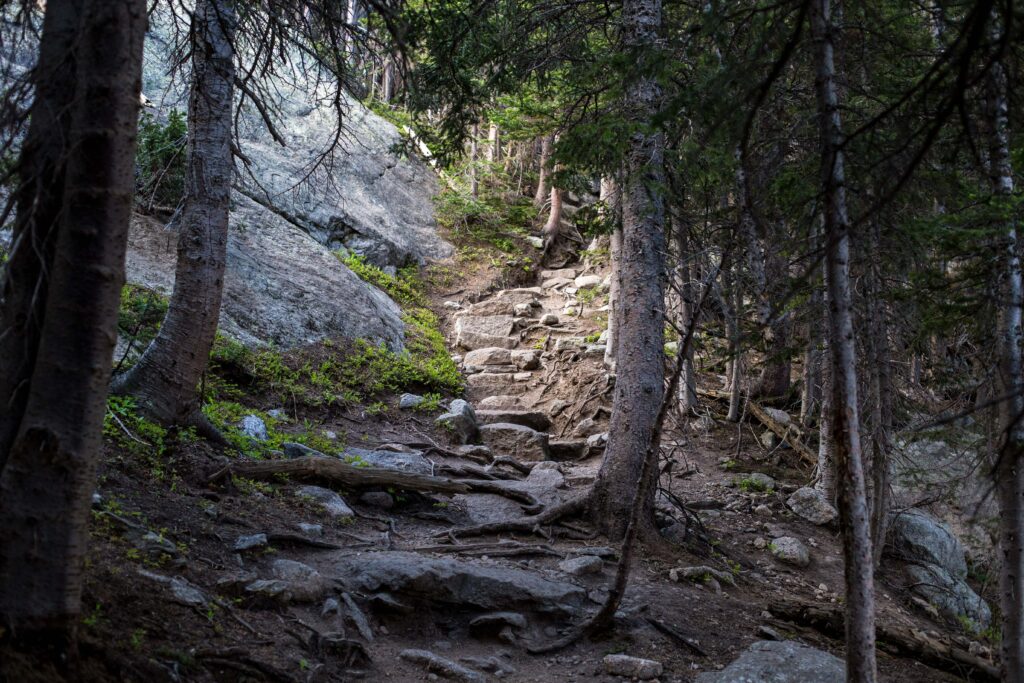 rocky steps through forest hiking trail