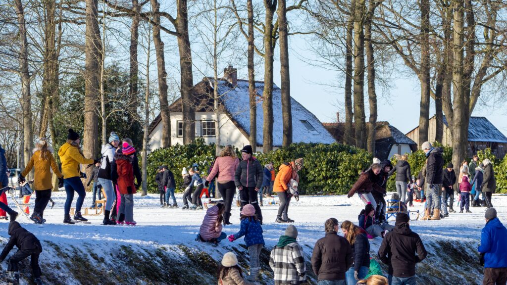 people skating in park