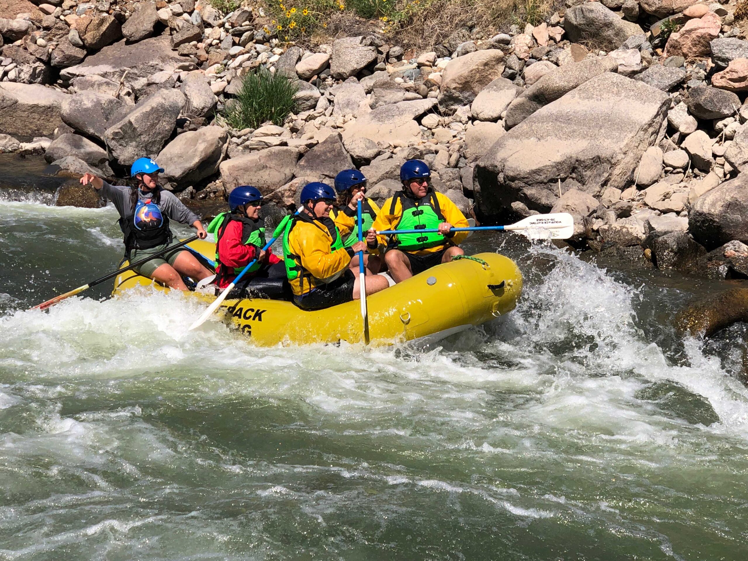 Tire Cover Central Deer Symonds Creek Spare Tire Cover (Custom Made to Your tire Size-See menu) : Tire Cover Central Deer Symonds Creek Spare Tire Cover